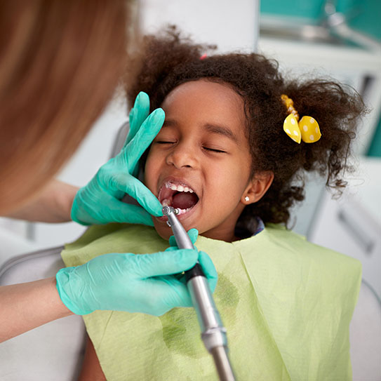  dentist for kids dentist near me